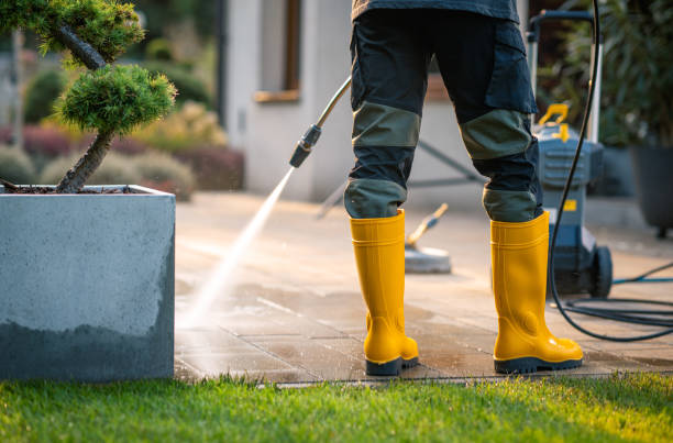 Best Window Cleaning in Deridder, LA